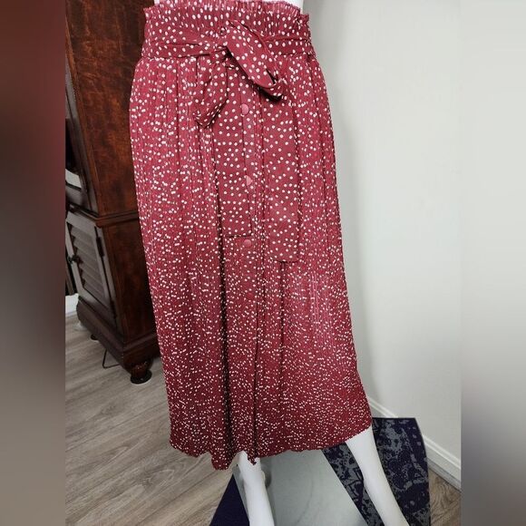 Zara Midi Skirt - Picture 10 of 14